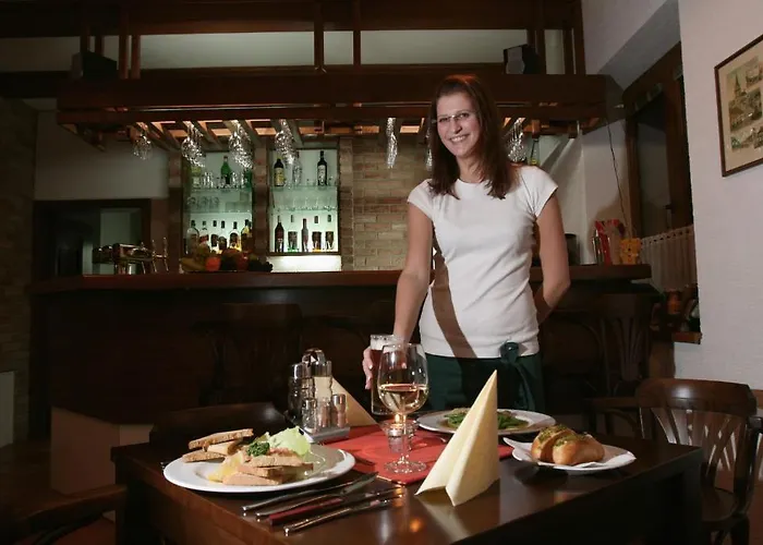 بيت ضيافة Sportpenzion Pohoda 4*